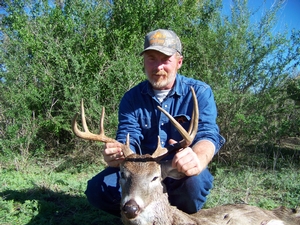 Whitetail